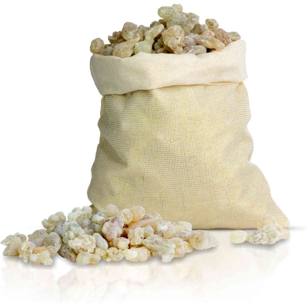 اللبان الذكر