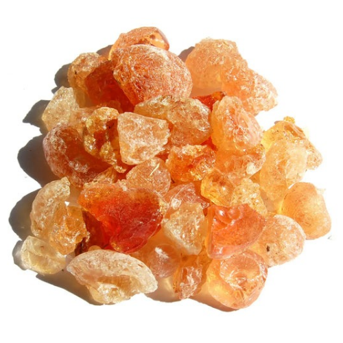 العلك الصحراوي